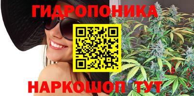 сатива Изобильный