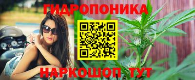 сатива Изобильный