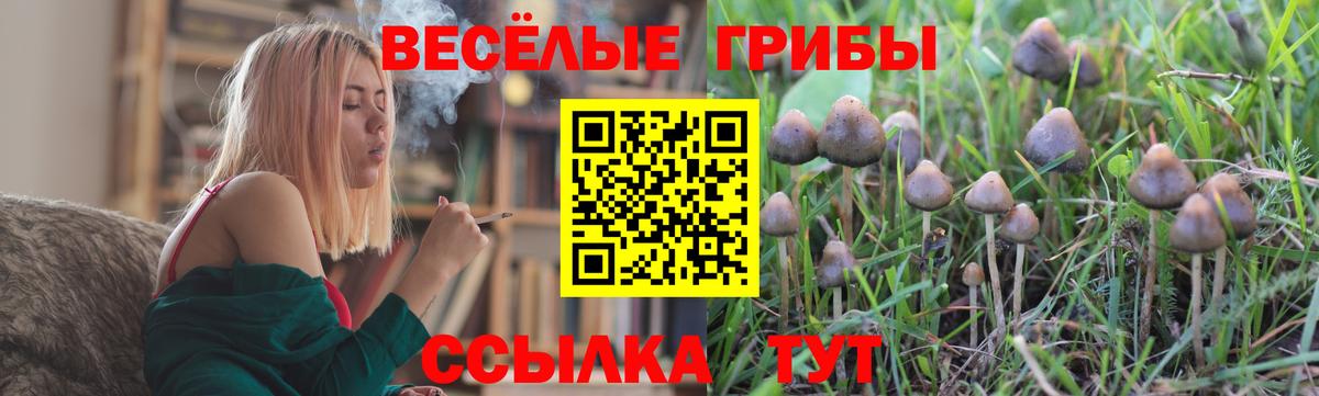 Галлюциногенные грибы прущие грибы Кумертау